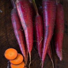 400 Dragon Purple Carrot Seeds