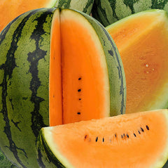 50 Orangeglo Orange Sweet Watermelon Fruit Seeds
