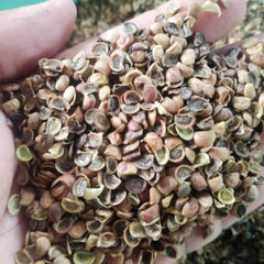 Hand holding a handful of small, dried seeds against a blurred background