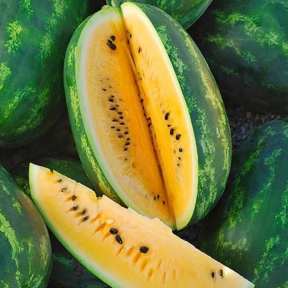 50 Yellow Mountain Sweet Watermelon Seeds