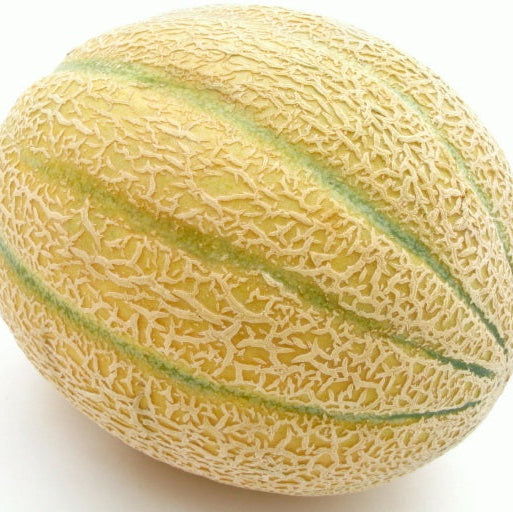 Yellow cantaloupe with green stripes on a white background