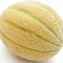 Yellow cantaloupe with green stripes on a white background