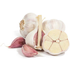 20 gram Georgian Fire Hardneck Garlic Bulbils Organic Vegetable Non-GMO Heirloom Seeds