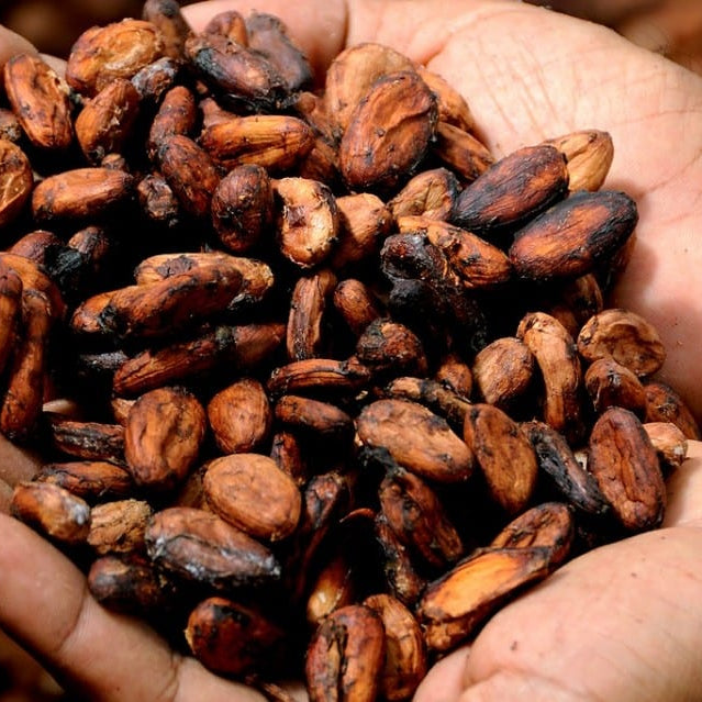 Hand holding a handful of roasted coffee beans