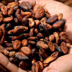 Hand holding a handful of roasted coffee beans