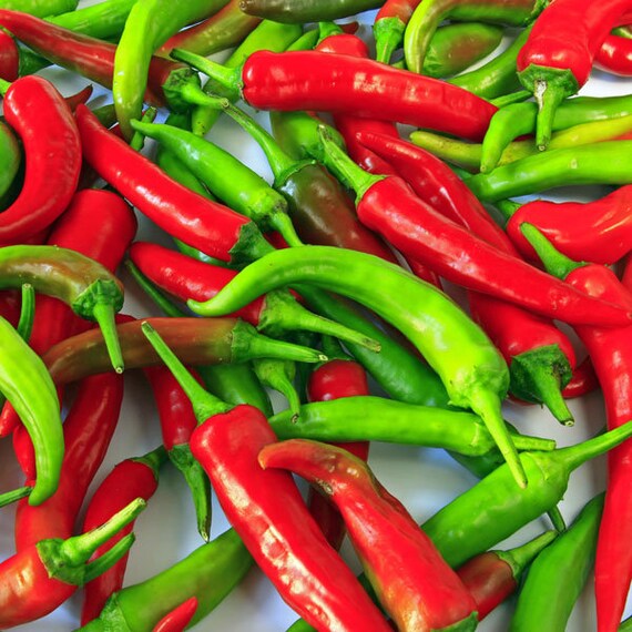 100 Scorpion F1 Thai Chili Pepper Seeds