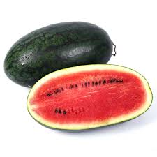 50 New Torpedo Thai Watermelon Seeds