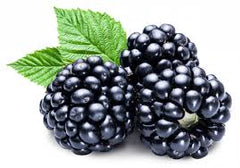 100 Blackberry Seeds (Fruit)