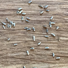 500 White English Daisy Flower Seeds