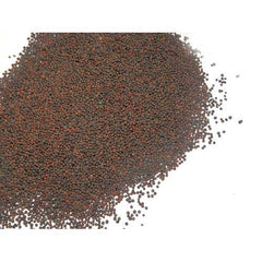 1000 Chinese Mustard Seeds