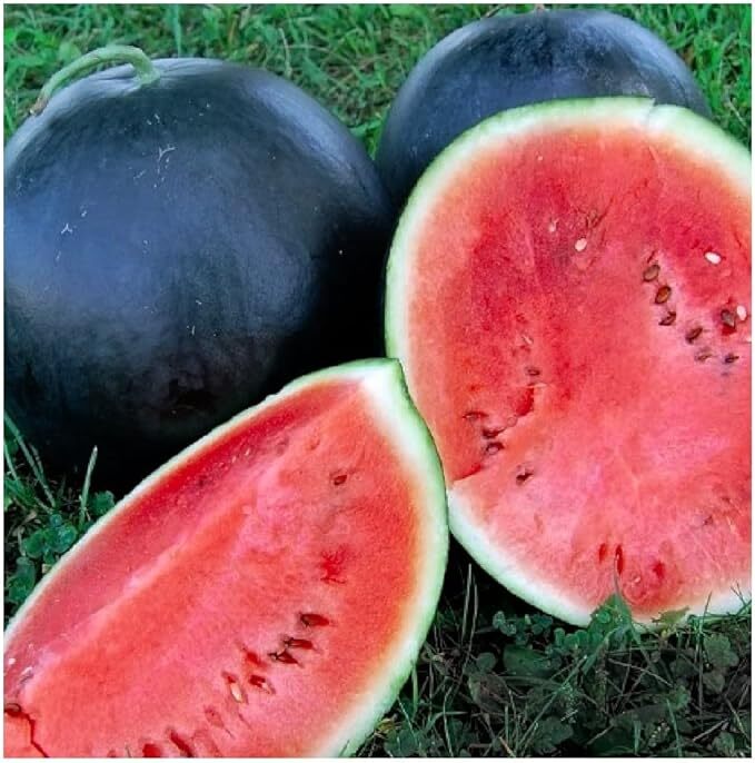 50 Heukmi Korean Black Watermelon Seeds