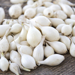 300 Snowball White Onion Vegetable Seeds
