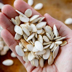 35 White Baby Boo Mini Pumpkin Vegetable Seeds