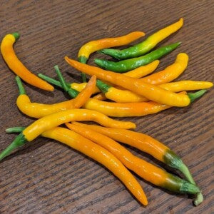 100 Yellow Full Moon Thai Chili Pepper Seeds