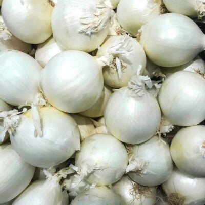 300 White Queen Onion Vegetable Seeds
