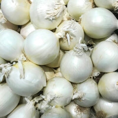 300 White Queen Onion Vegetable Seeds