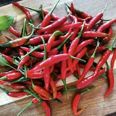 Red chili peppers on a wooden cutting board