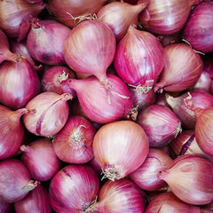 300 Red Creole Onion Vegetable Seeds