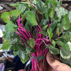 3000 Pink Amaranth Vegetable Seeds