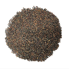 1000 Branching Chinese Kale Kai Lan Kailaan Seeds Brassica Oleracea