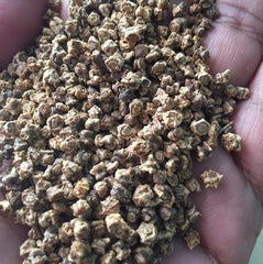 Hand holding a pile of small, dried plant material.