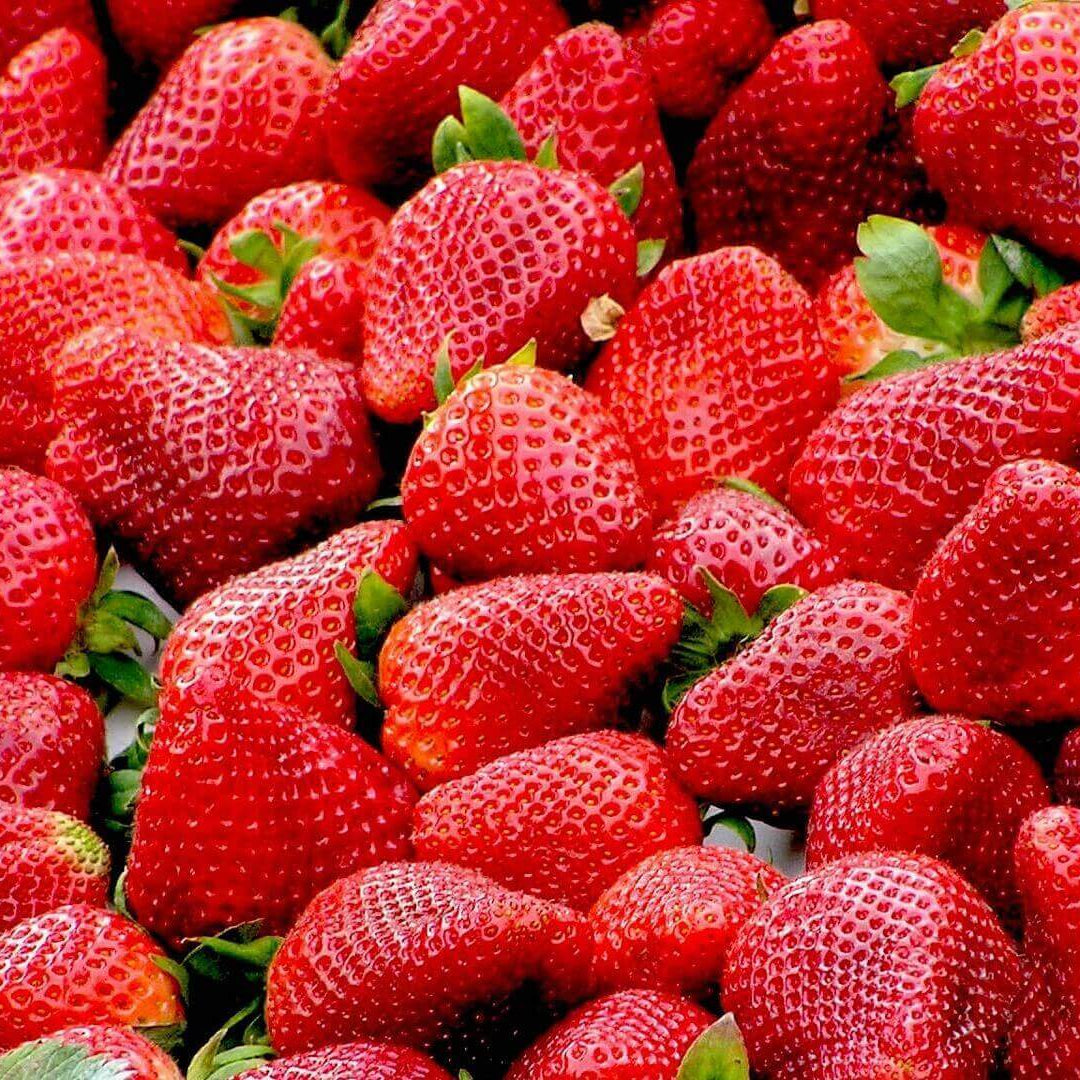 100 Dandong Strawberry Fruit Seeds