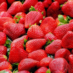 100 Dandong Strawberry Fruit Seeds