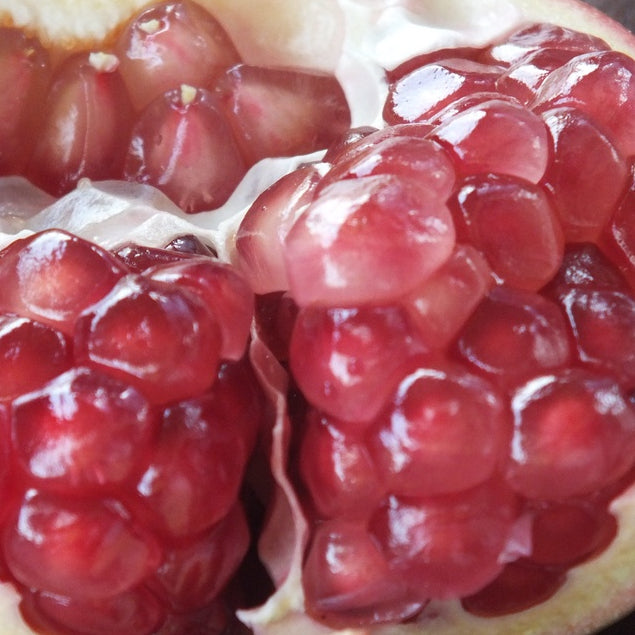 50 Thai Phet Chomphu Pomegranate Punica granatum L Seeds