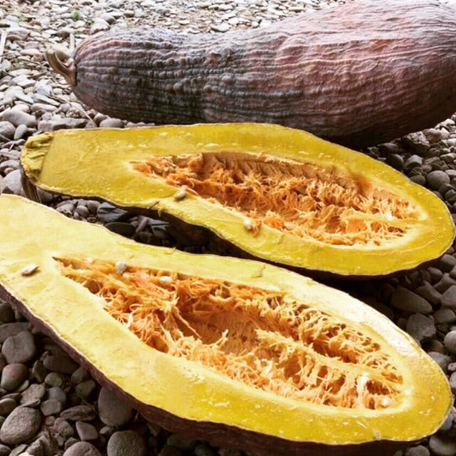 35 Indigenous Karen Pumpkin Vegetable Seeds
