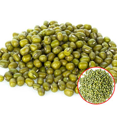 100 Mung Bean Seeds Heirloom Seeds (Vegetable Potted Plants)