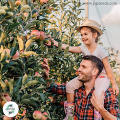 30 Bonsai Apple Tree Indoor Plant Dwarf Fruit Home Garden Seeds