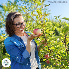 30 Apple Tree Sweet Organic Fruit Planting Potted Home Garden Seeds