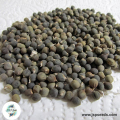 50 Lady's finger Okra Abelmoschus esculentus (L.) Moench Seeds (Asia Vegetable)