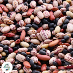 50 LongPole Bean Heirloom Seeds (Vegetable Potted Plants)