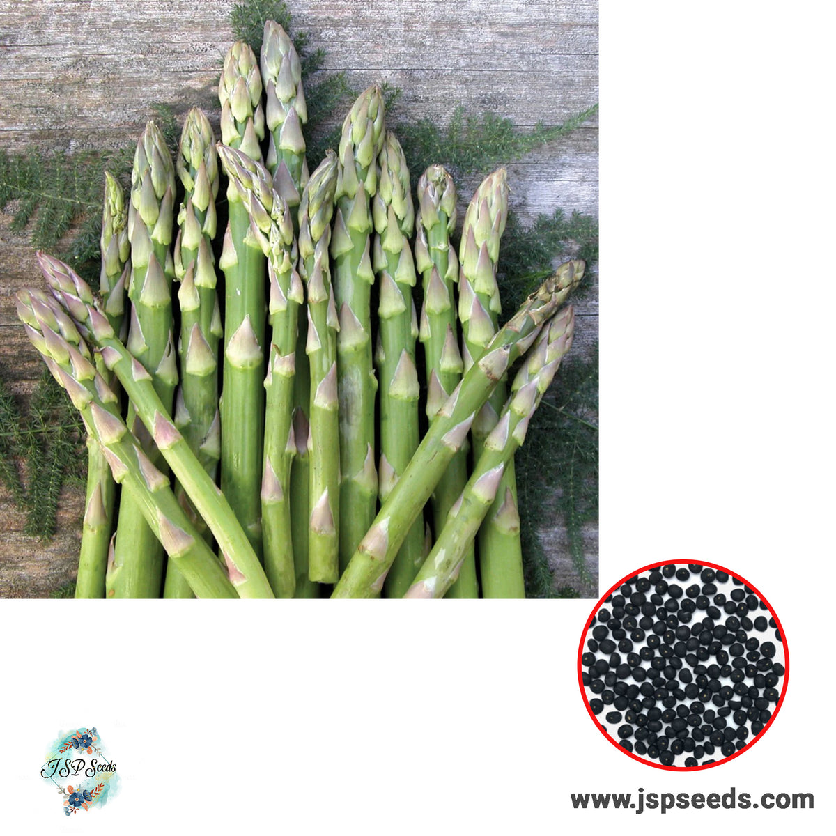 50 Mary Washington Asparagus Heirloom Seeds (Vegetable) Non Gmo