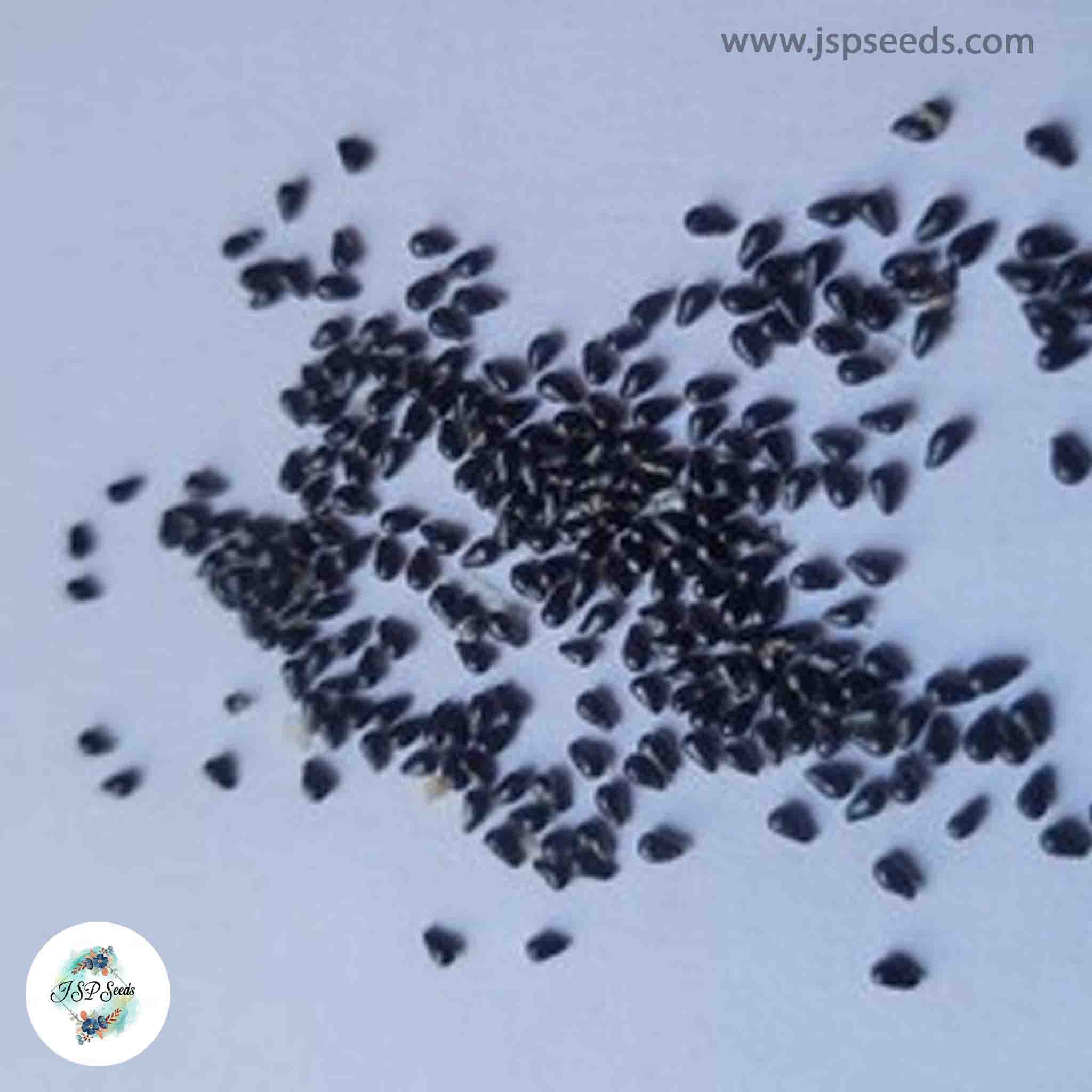 50 White Dragon Fruit Seeds Pitaya Pitahaya Hylocereus Undatus Cactus ...