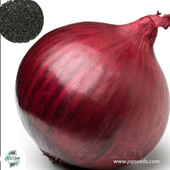 200 Southport Red Globe Onion Seeds NON-GMO Heirloom Fresh Garden Seeds (Vegetable Potted Plants)