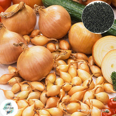 200 Sturon Onion Seeds NON-GMO Heirloom Fresh Garden Seeds (Vegetable Potted Plants)