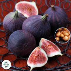 30 Black Mission Ficus Carica Seeds Fig Seeds Tropical Bonsai Rare Fruit Seeds