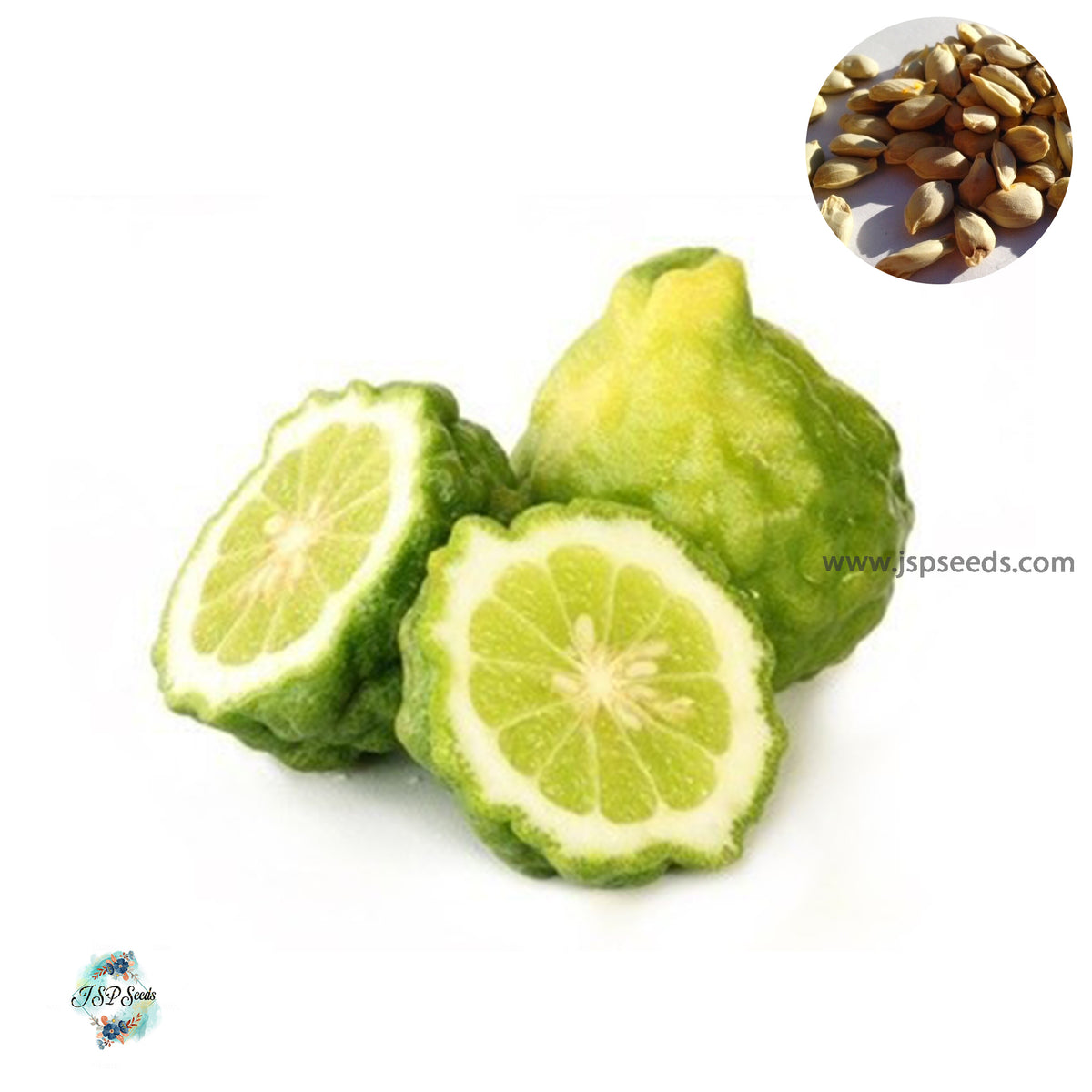 50 Citrus hystrix Thai kaffir Lime, Makrut Lime Seeds (Asia Vegetable)