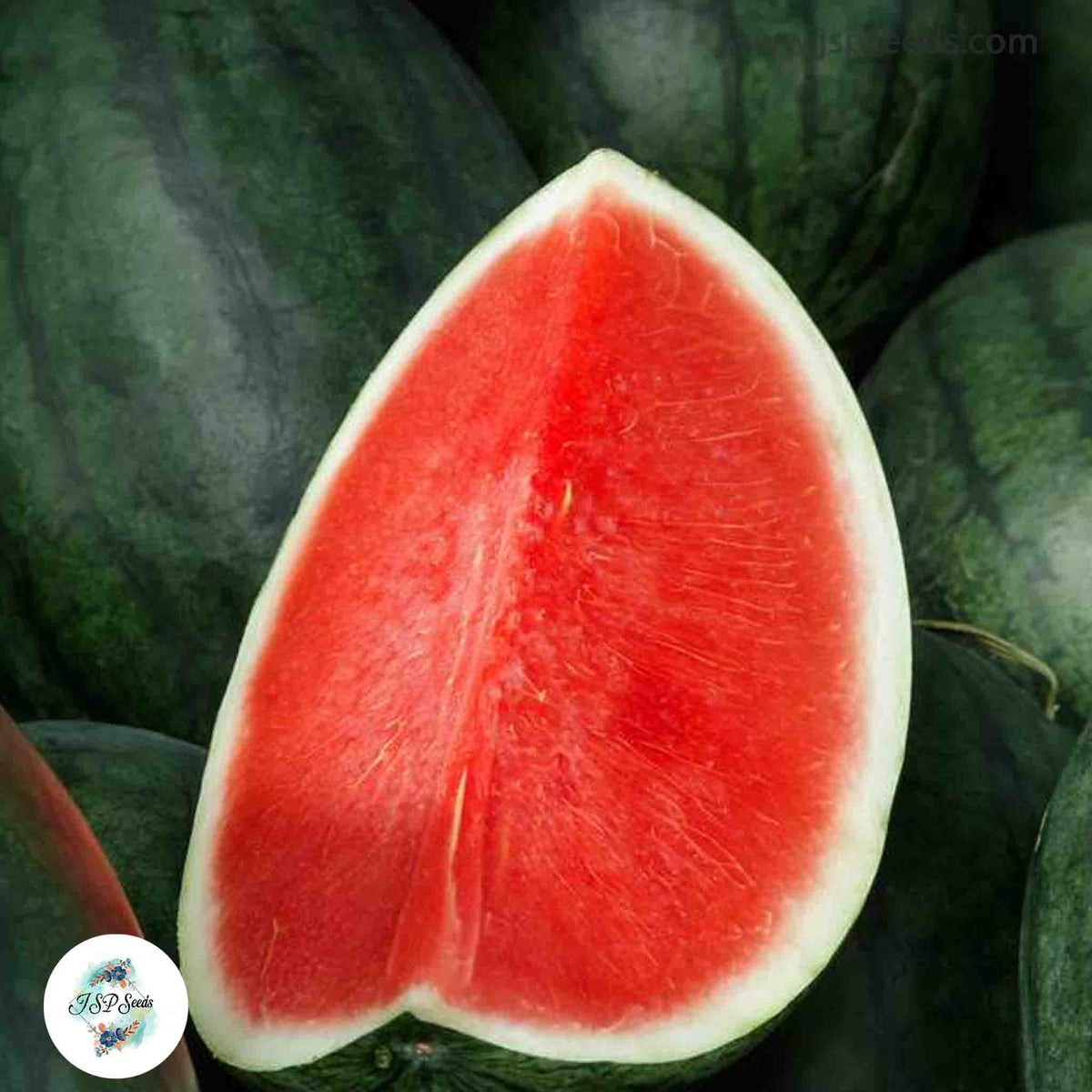 50 Red Seedless Watermelon Seeds (Asia Fruit)