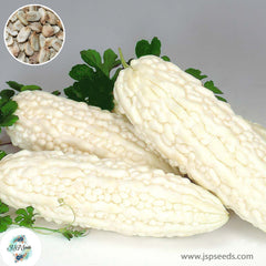 30 White Bitter Melon Chinese Bitter Gourd Indian Seeds (Asia Vegetable)