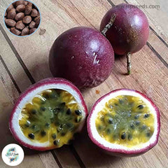 50 Purple Passion Fruit (Passiflora edulis) Vine passion flower Seeds (Asia Vegetable) Granadilla Passiflora edulis