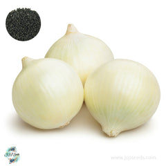 200 White Sweet Spanish Onion Seeds NON-GMO Heirloom Fresh Garden Seeds (Vegetable Potted Plants)