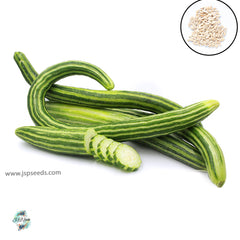 50 Armenian Cucumber Heirloom Seeds (Vegetable Potted Plants)