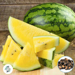 50 Yellow Watermelon Seeds