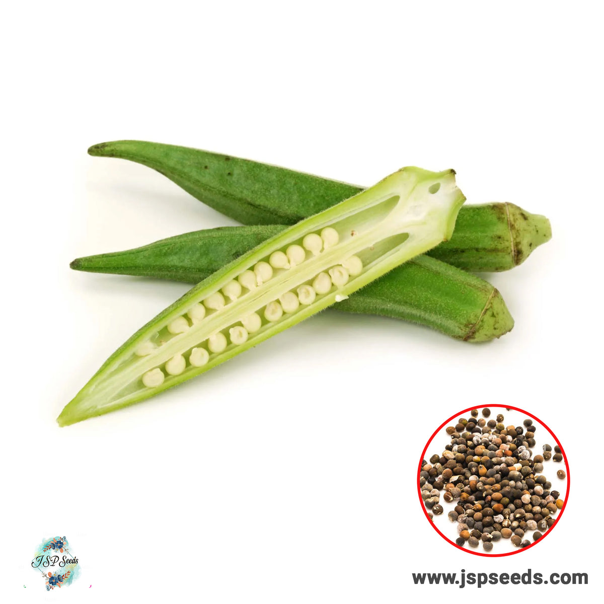 50 White Lady's finger Okra Abelmoschus esculentus (L.) Moench Seeds (Asia Vegetable)