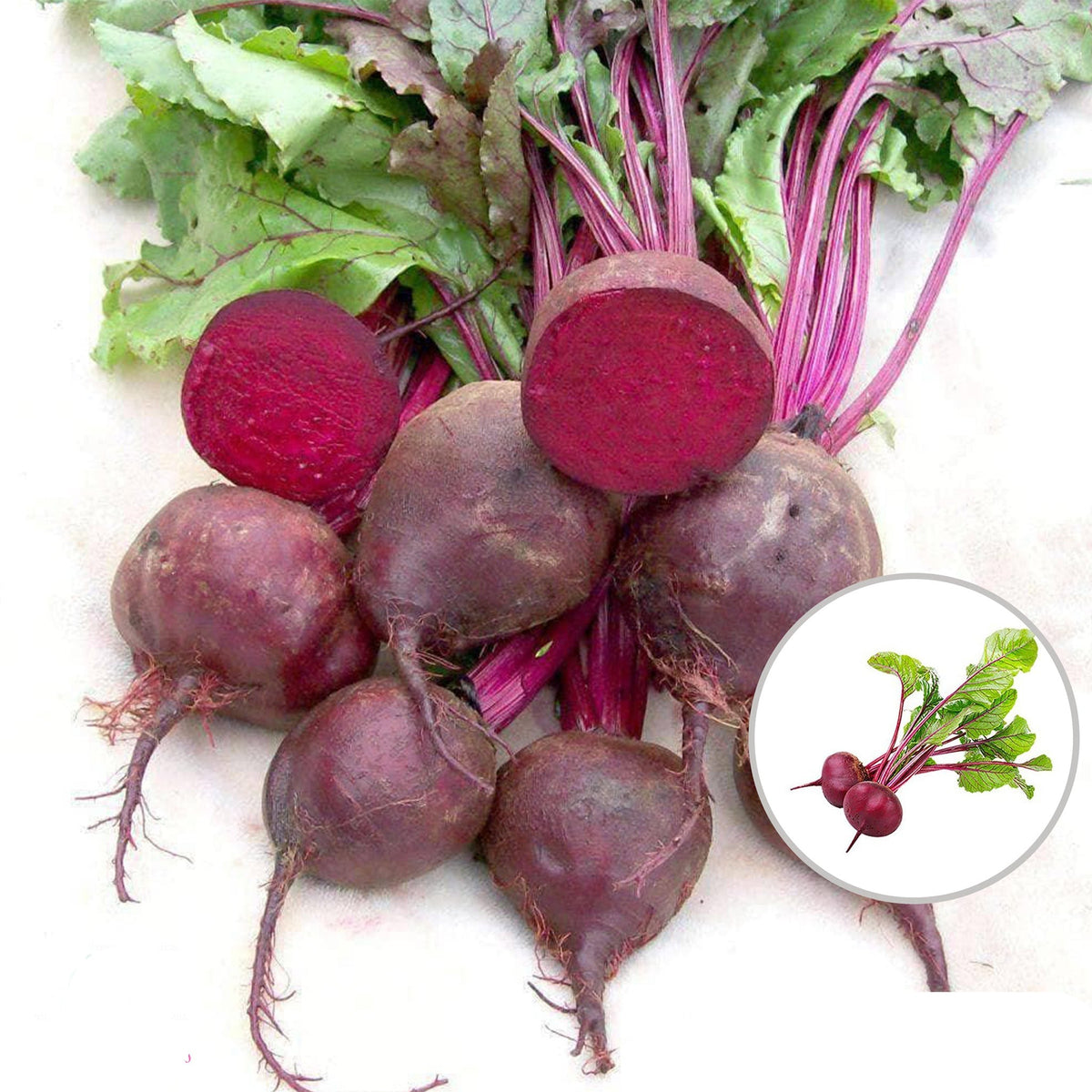 100 Detroit Dark Red Beets Organic Heirloom Seeds (Vegetable) Non Gmo