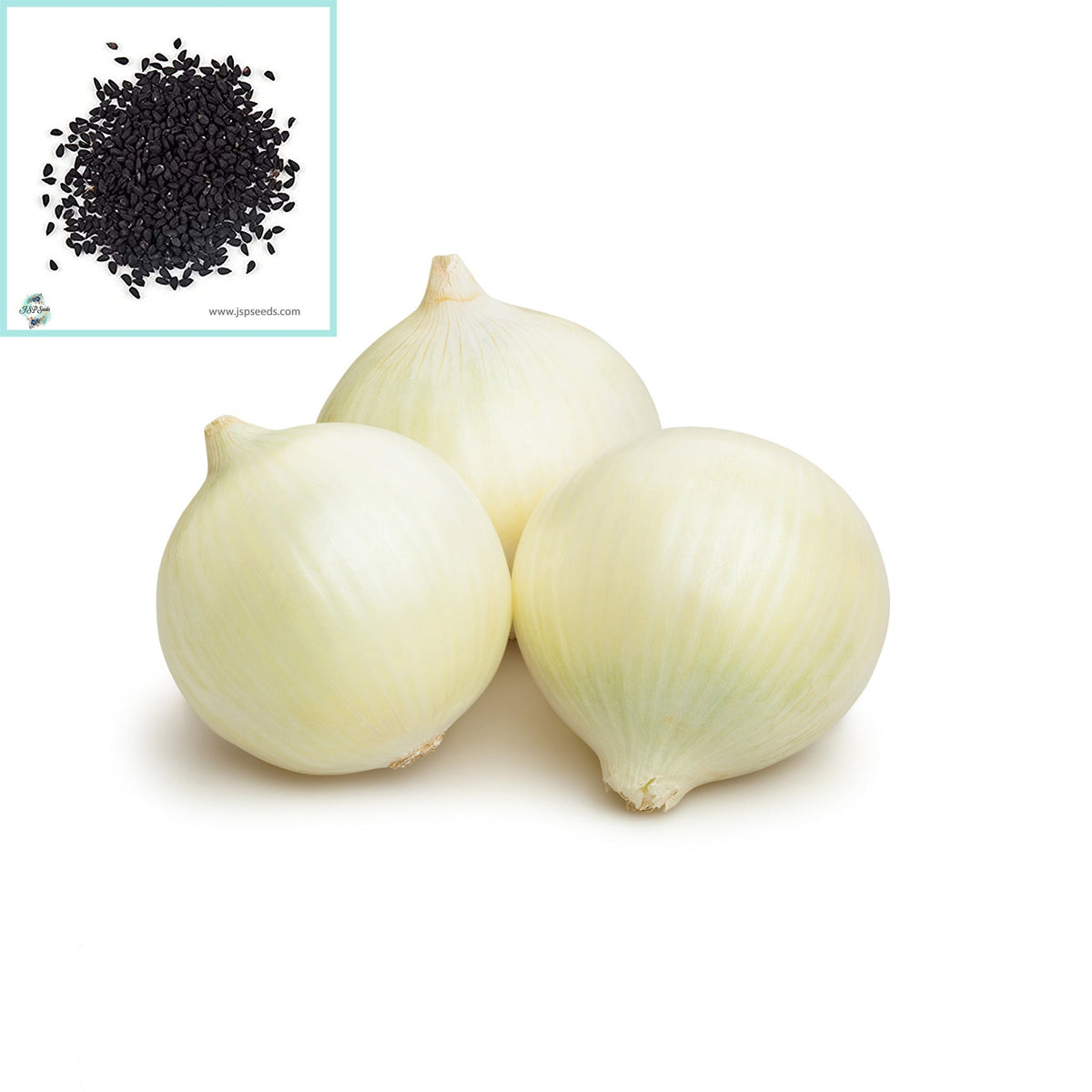 100 White Sweet Spanish Onion Heirloom Seeds (Vegetable) Non Gmo