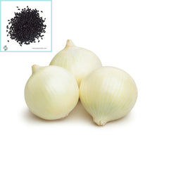 100 White Sweet Spanish Onion Heirloom Seeds (Vegetable) Non Gmo